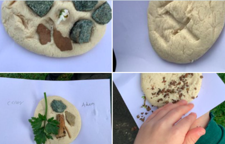 Image of Yr3 ended their science topic on rocks this week by making their own fossils. 